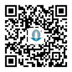 ���ݷ���΢��