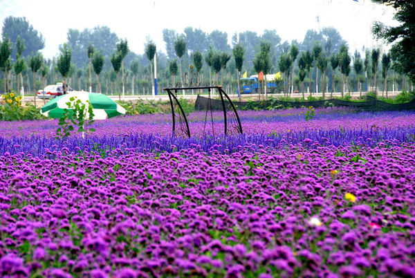 ���������·ݵľ�������