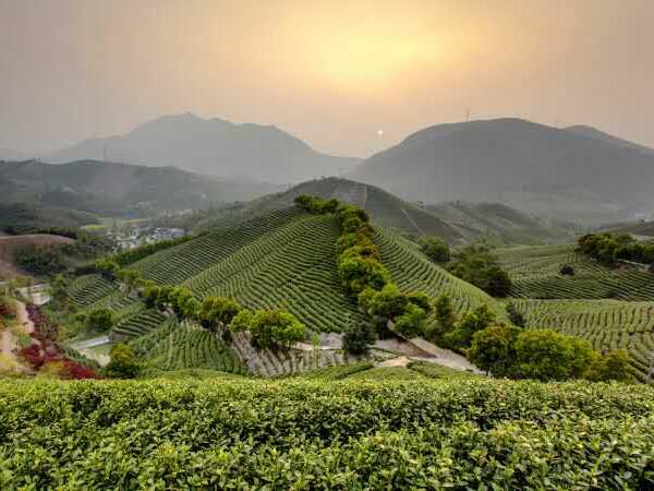 ��������ȫʡ��һ �����õ�������ʵ