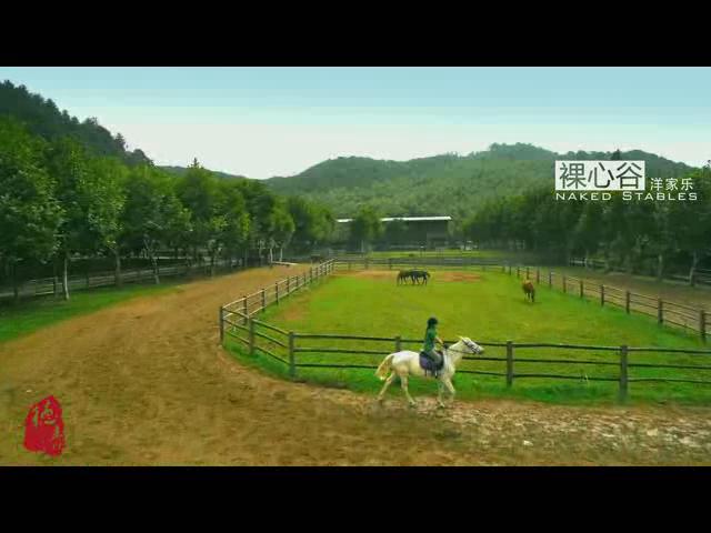 ���ݵ���