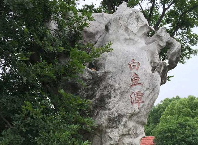 ����̶����һ�������ĵ�����˵