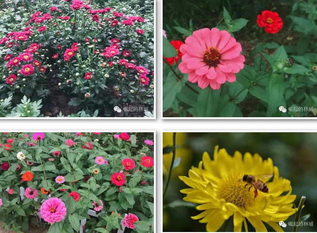 �ҽ����㣬����ϼ��ˣ��������ֳǱ����˰ɣ�