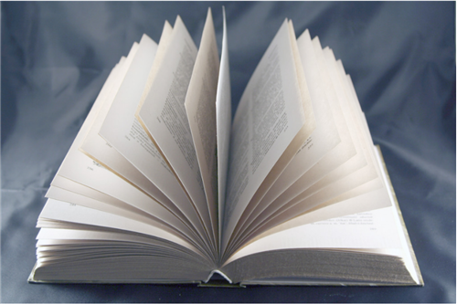 ��������һ����