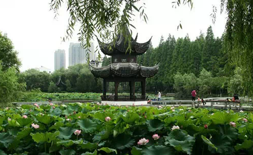 ���о��ŵ�����ׯ