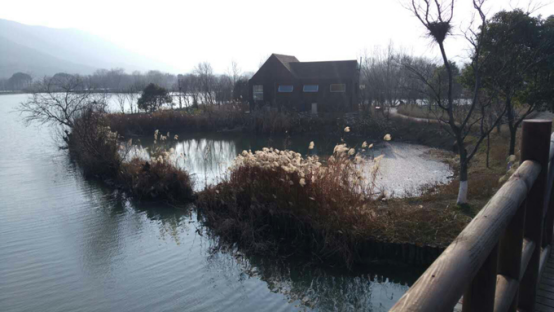 ���߱߿�����̫���ߵ�ͼӰʪ��