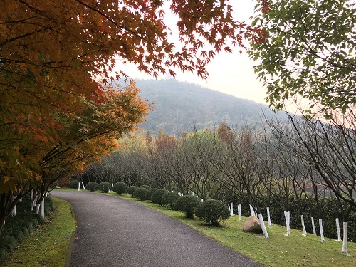 ��·Խƽ��Խ���� �ϰ��յ�����Խ���