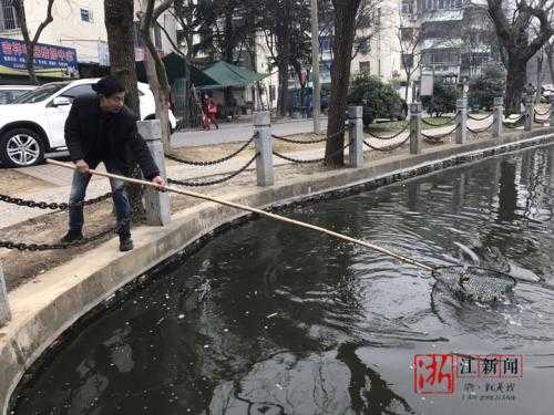 ���ĵ��ư���