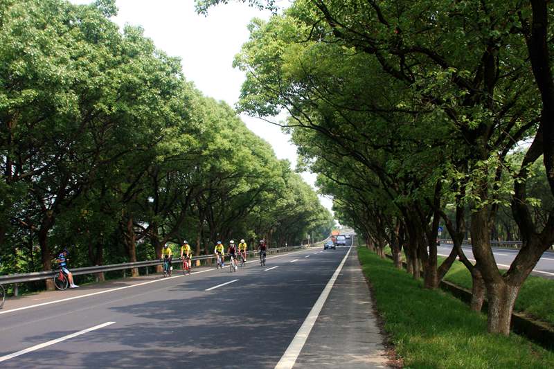 ���������н���ഫ�ġ���·�ˡ�