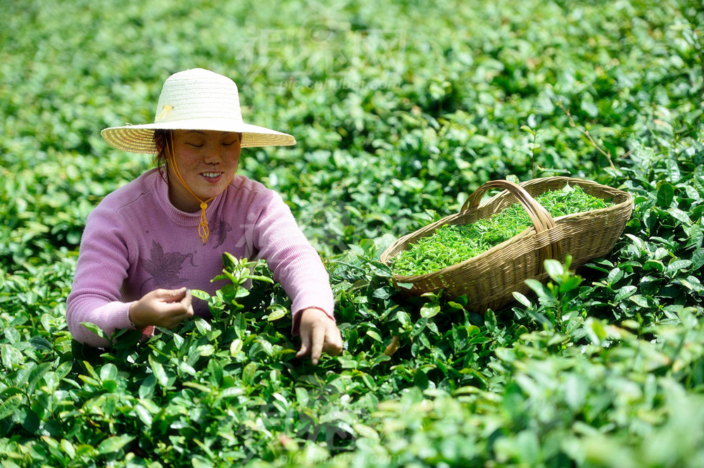 ��ũ����ġ�ʫ��Զ����