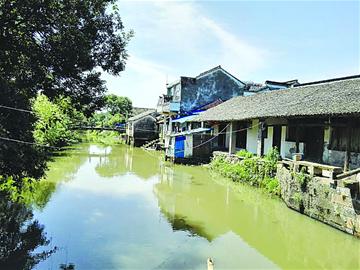 �����º��