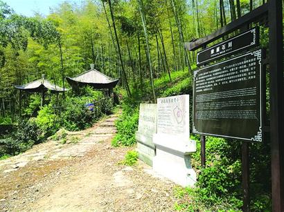 ������ʲ�