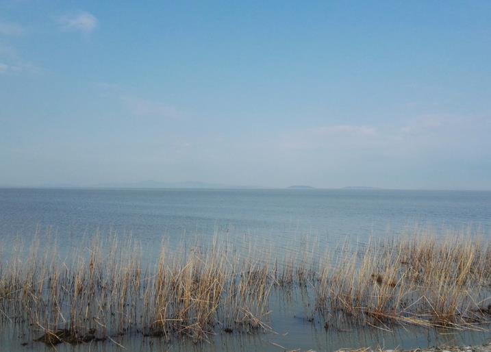 һĨ���֦֦��