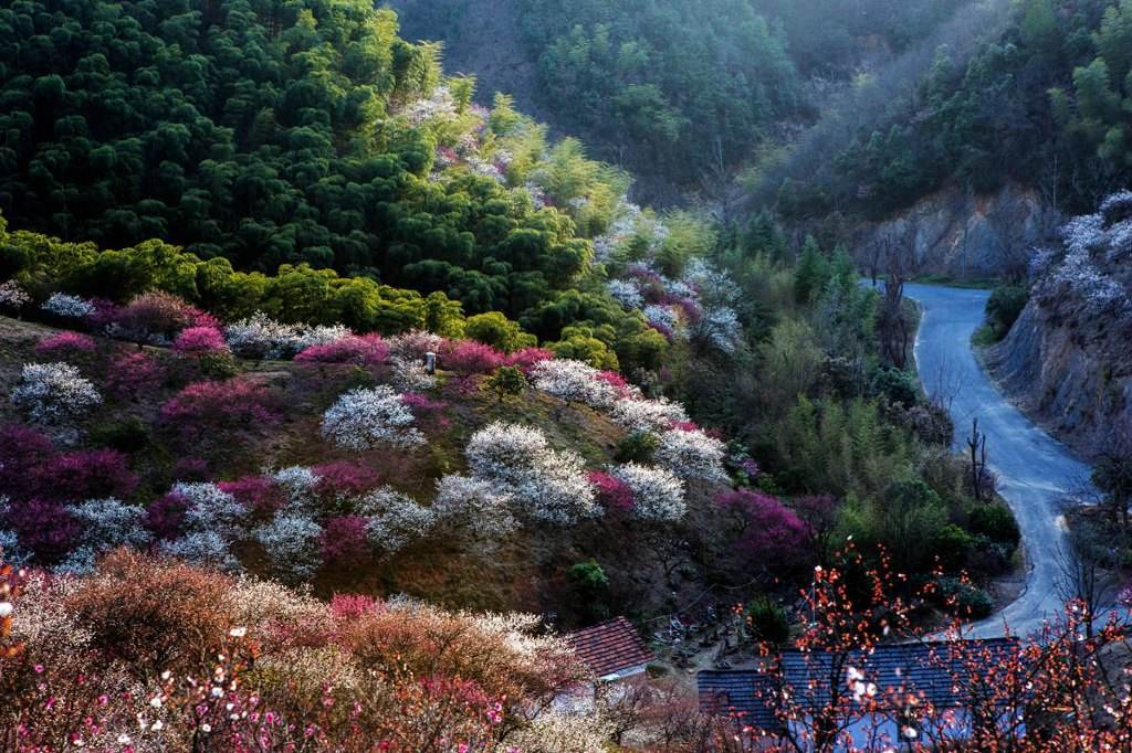 ����ɽˮ������