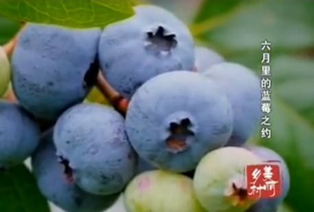 ���������ݮ֮Լ