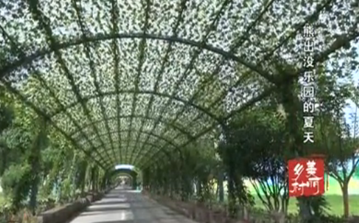 �ܳ�û��԰������