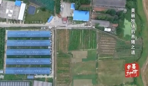 ��������������֮��