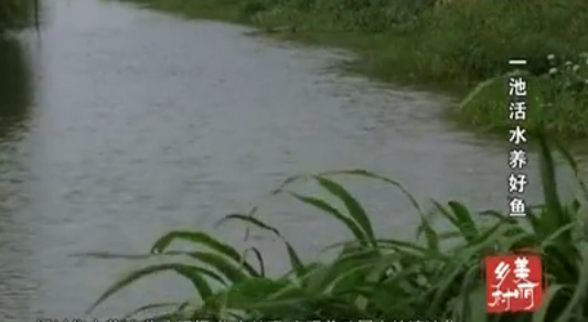 һ�ػ�ˮ������