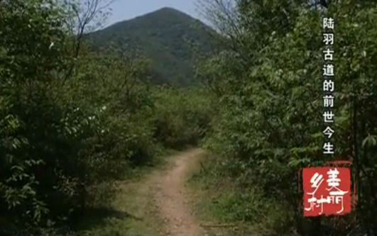 ½��ŵ���ǰ������