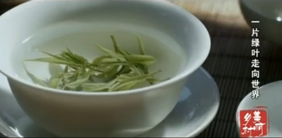 һƬ��Ҷ��������