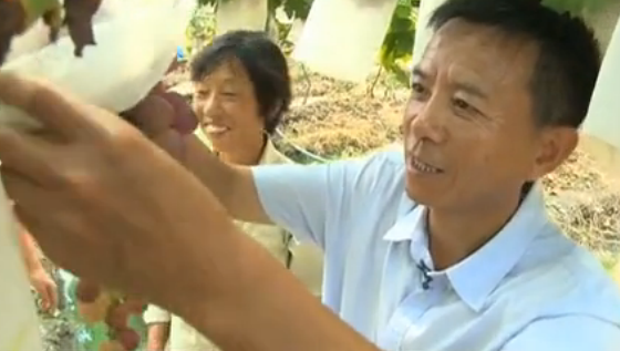 ���鴺�ġ������Ρ�