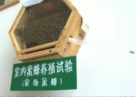 ����������ʱ��