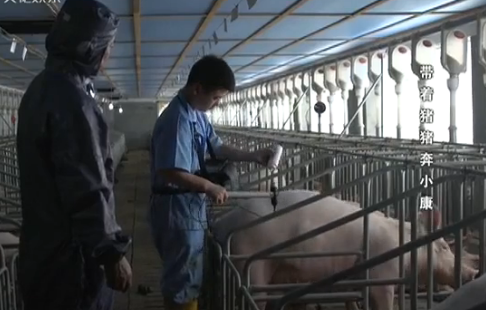 ����������С��