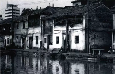 ��Щ��������Ƭ����������Ǳ����ж����㲻֪���Ĺ��£�