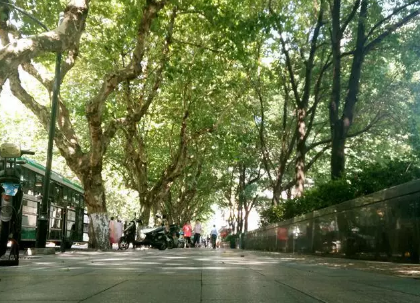 ���С�·�ϡ����������������̵㣡