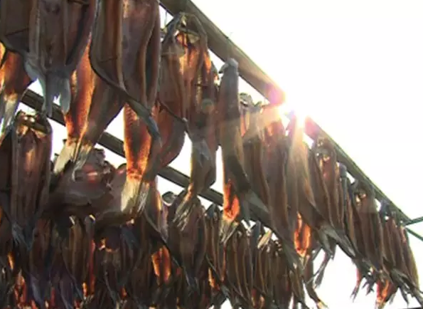 �����˶��ص���ζ ������������