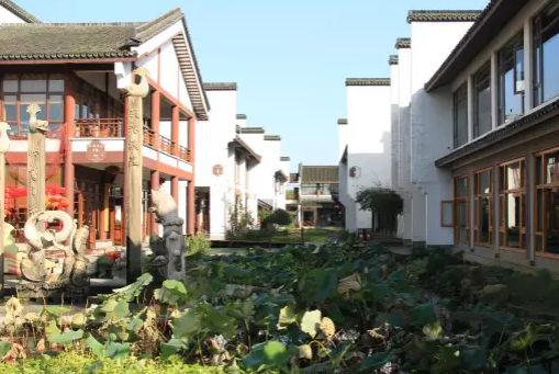 ż������Ϫ�������µĳ¼�ζ��~