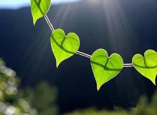 ���ǹذ��Ϳ���