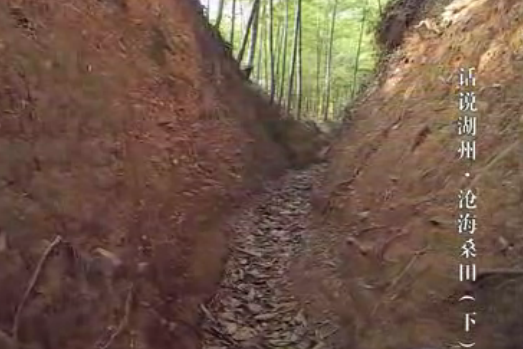 �׺�ɣ����