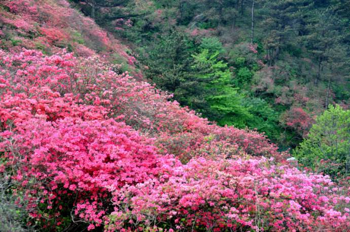 ���Ͽ���ӳɽ��