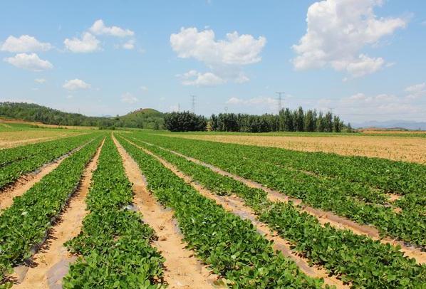 �������Ұ