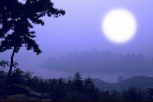 ���ǹ�����