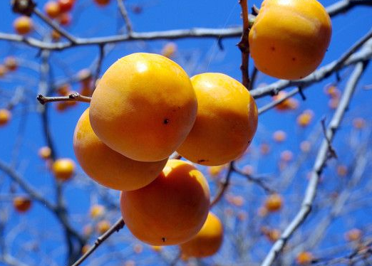 һ��������