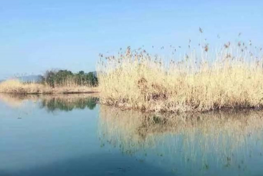 ������侺���Ϊ��֪�ĵ�����˵