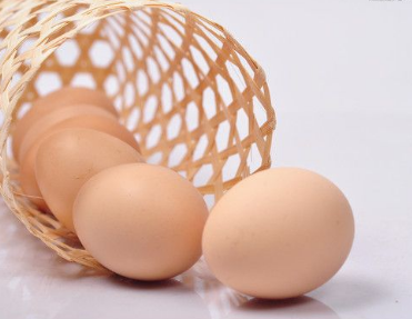 �⹫�ļ���ֽ��