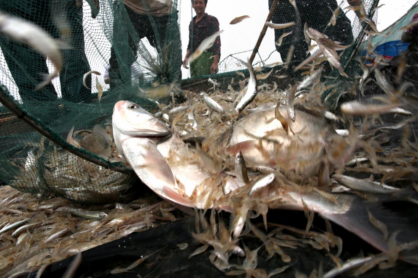 ̫����̤����������һ��������Ϯ���Ի��ǽ���ս��״̬��