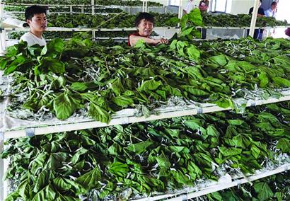 ���Ϲ����� ʡ����ʡ��