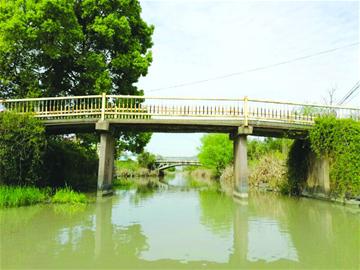 ǬԪ���������