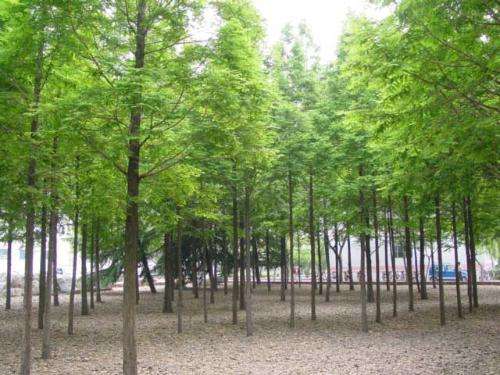 ����ί��27��ˮɼ��