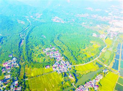 һ���Ŵ�����������