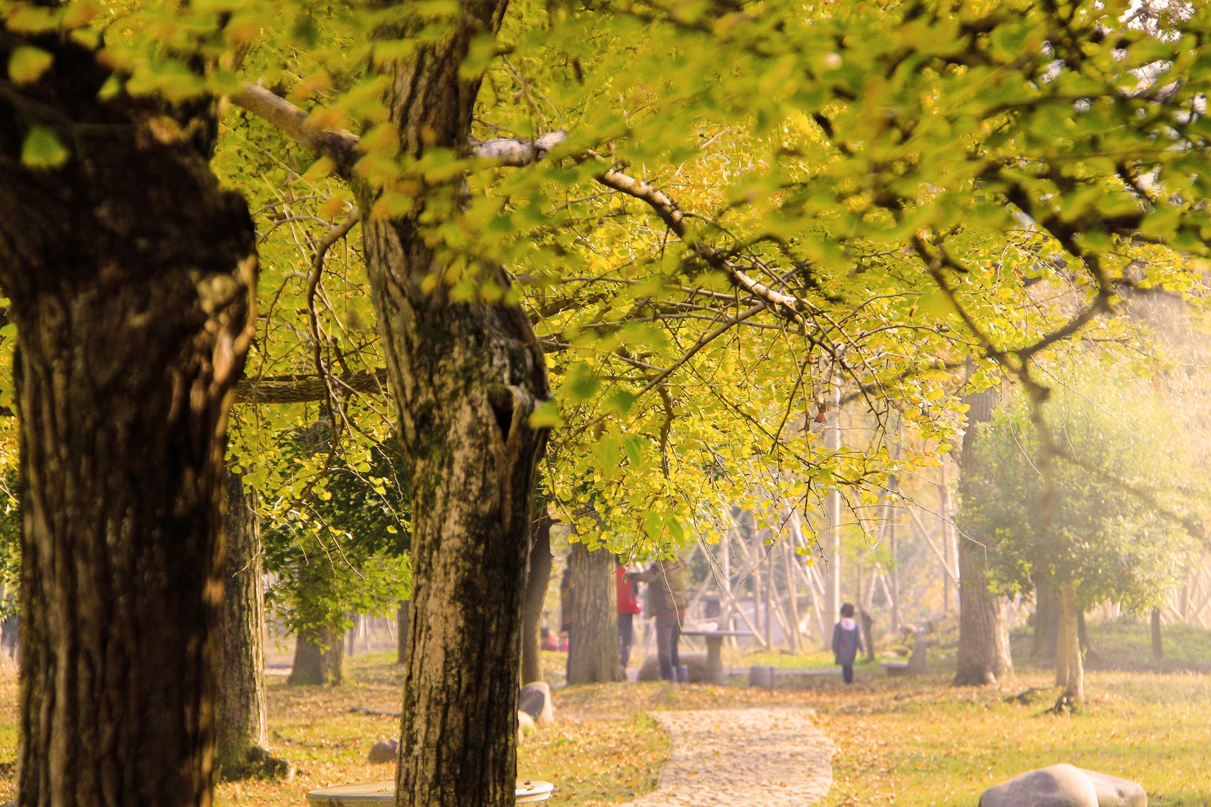 ����������