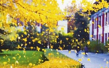 �������µ�����