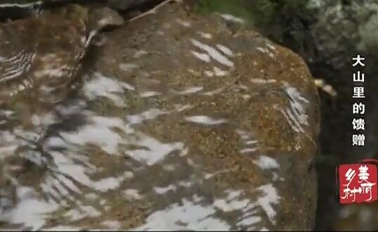 ��ɽ�������