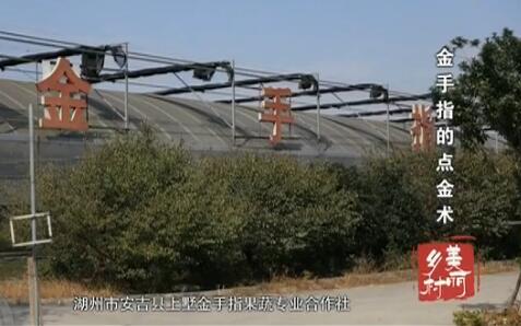 ����ָ�ĵ����