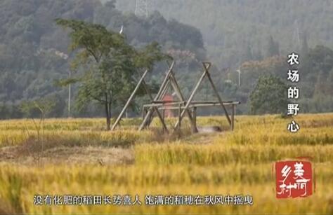 ũ����Ұ��