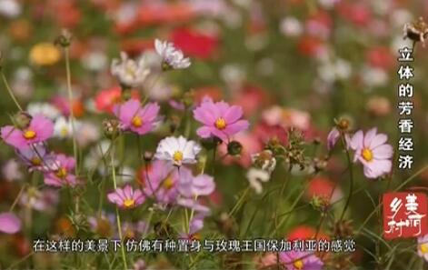 ����ķ��㾭��