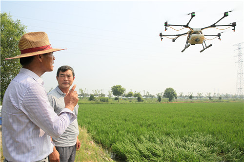 ��÷����������������